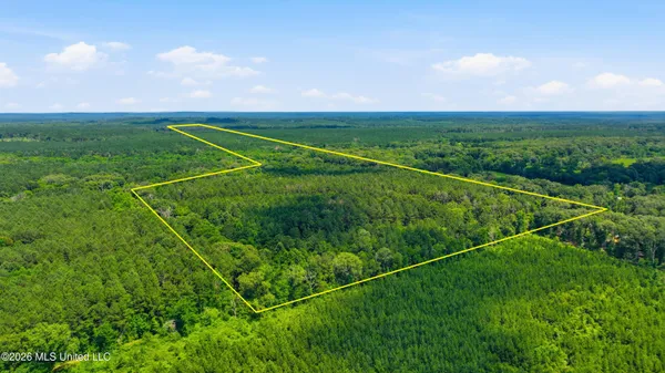 $385,000 | Blackwell Drive, Forest, MS 39074