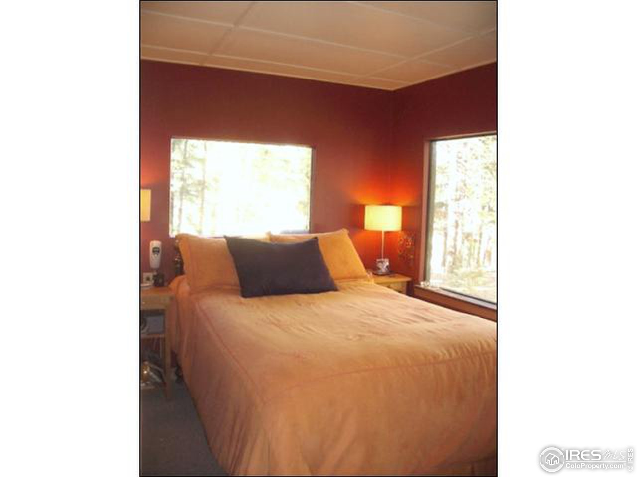 482 Pine Glade Road Nederland, CO 80466 - Photo 5 of 9