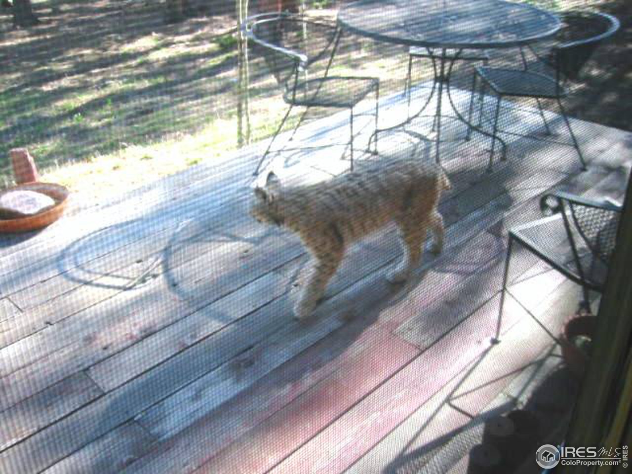 482 Pine Glade Road Nederland, CO 80466 - Photo 7 of 9