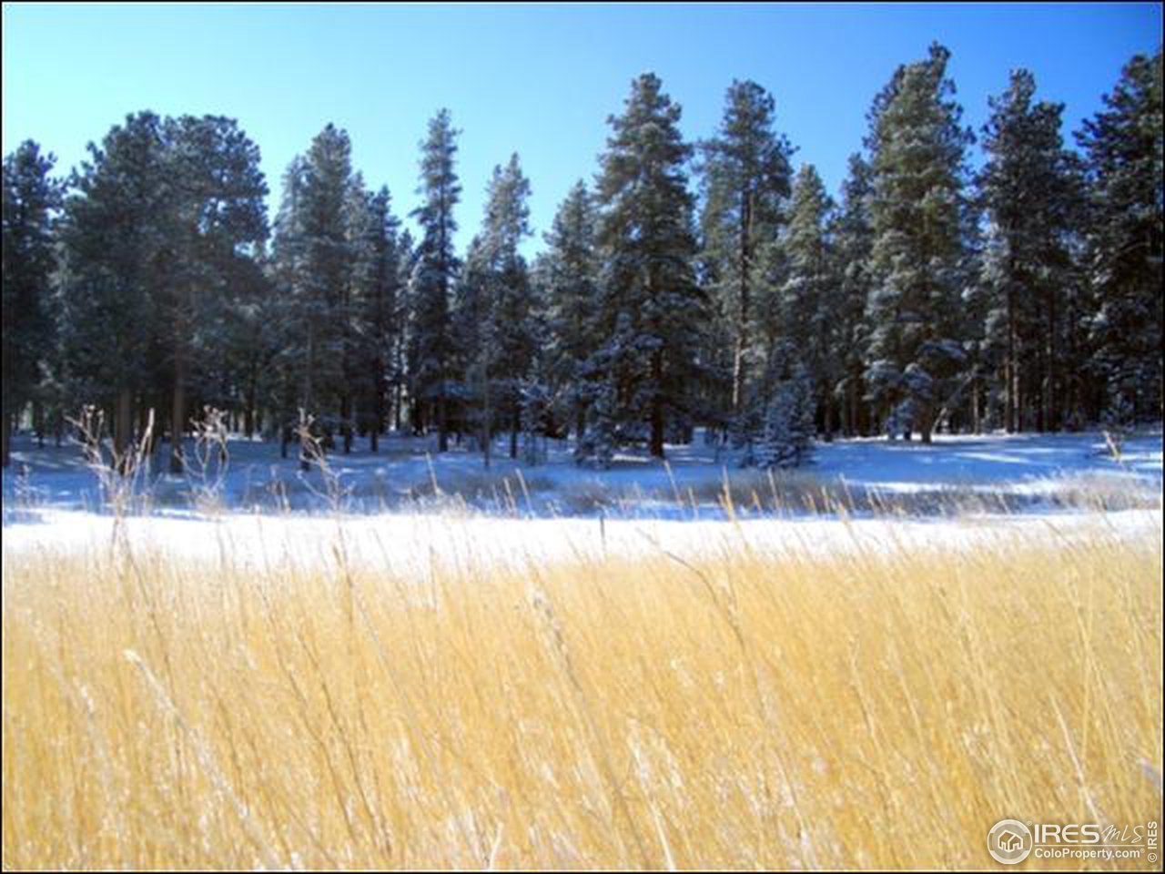 482 Pine Glade Road Nederland, CO 80466 - Photo 9 of 9