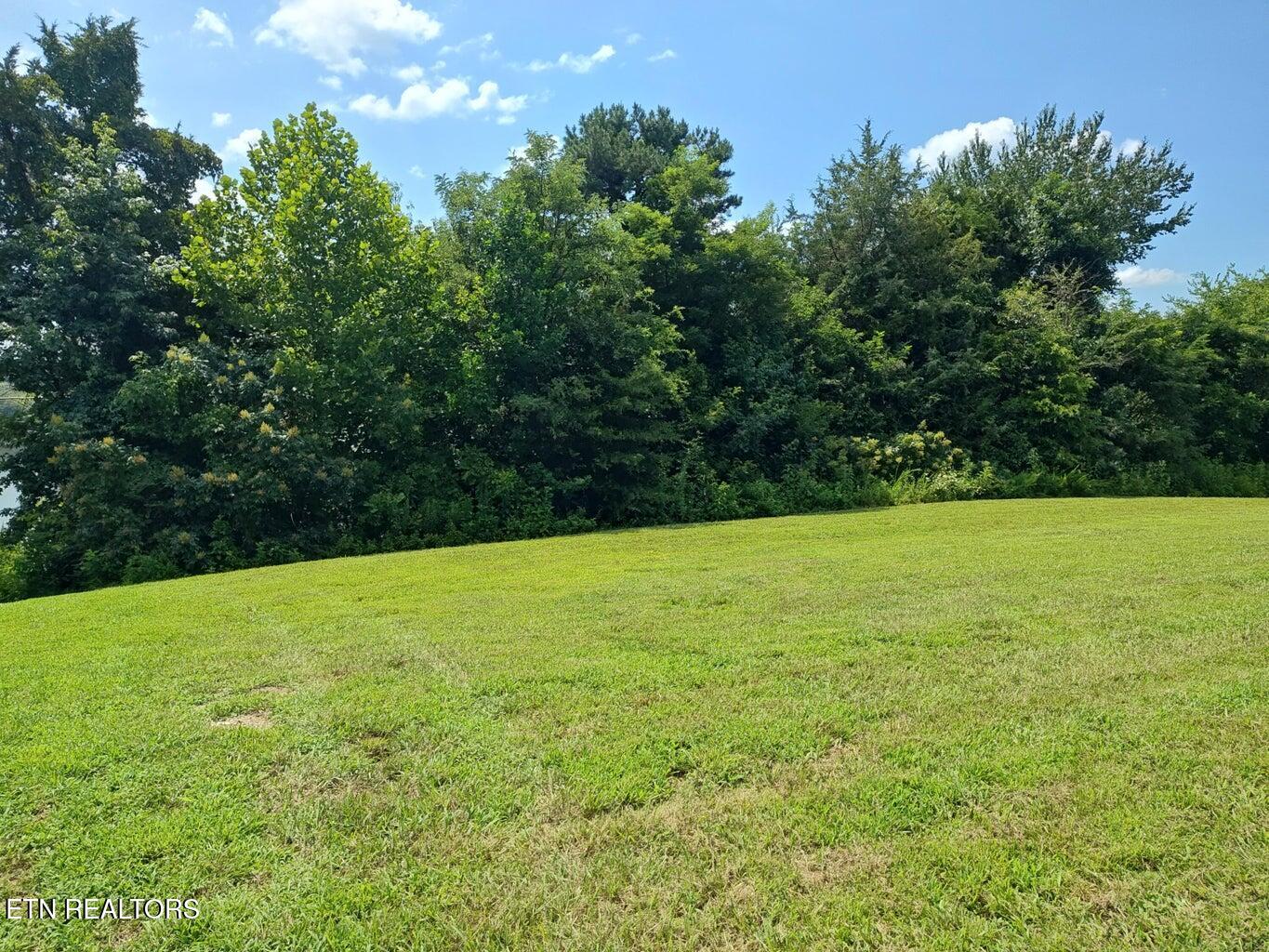 Espalier Drive, Unit 72 Decatur, TN 37322 - Photo 11 of 14 20250725153650122941000000-o