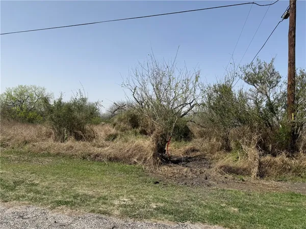 $25,000 | Tba #2 French Street, Alice, TX 78332