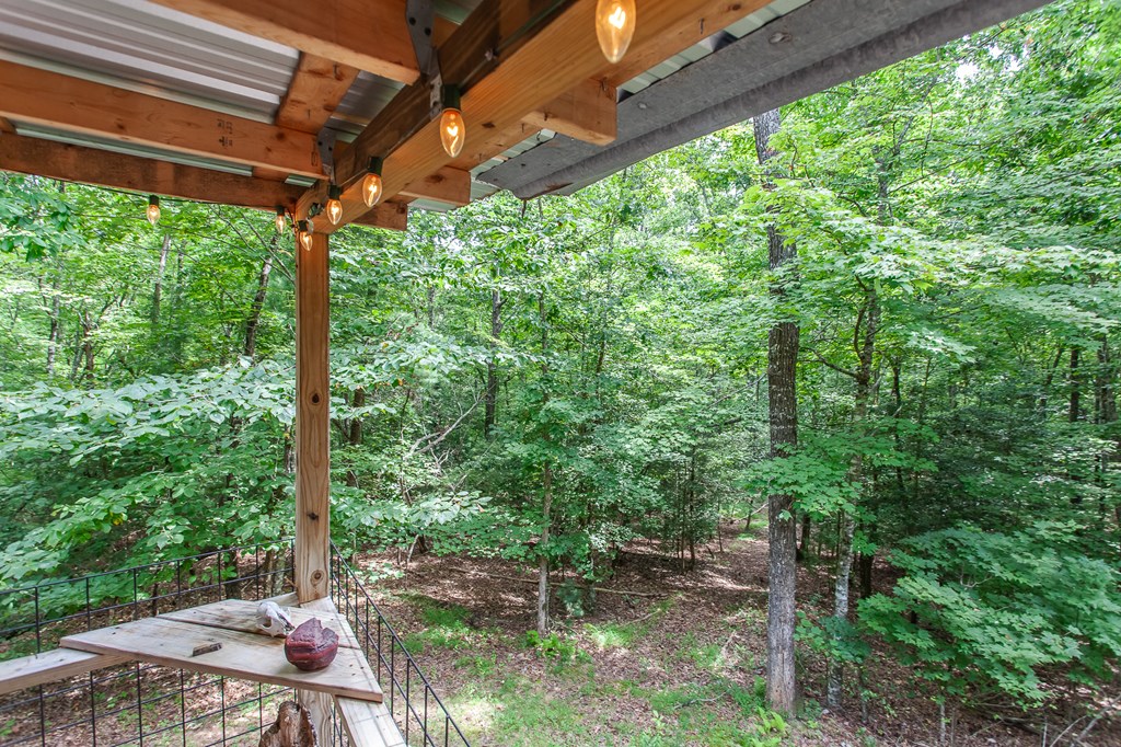 262 Sams Hl Road Murphy, NC 28906 - Photo 54 of 58