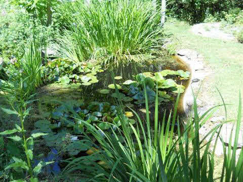 7480 West Frances Road Flushing, MI 48433 - Photo 18 of 19 20185952-17.JPG