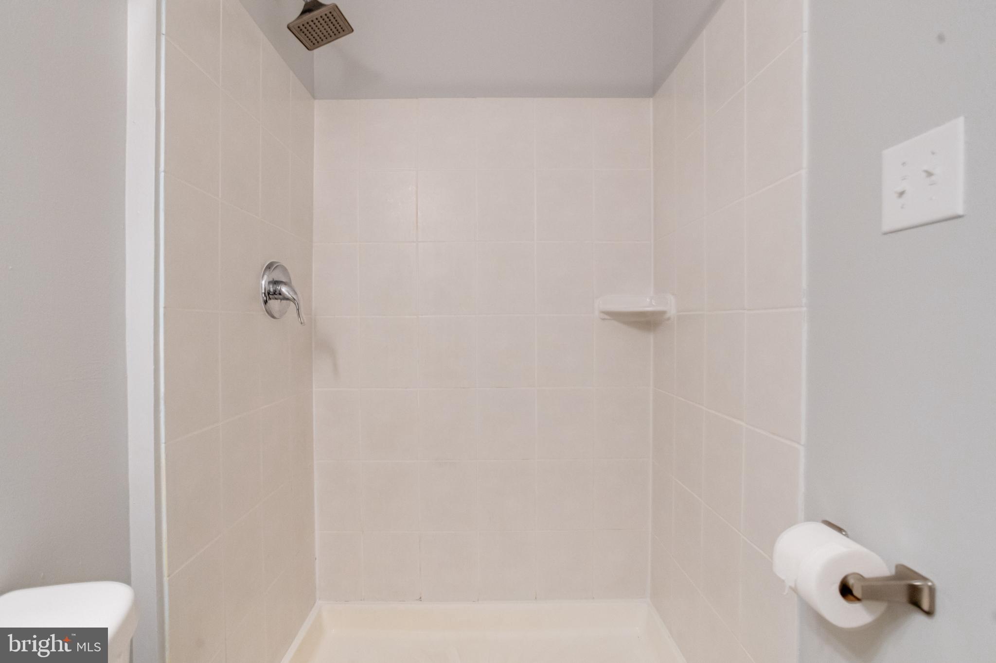 1313 Patapsco Street Baltimore, MD 21230 - Photo 16 of 52 a bathroom with a shower