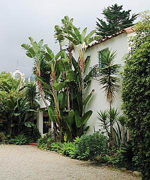 490 Hot Springs Road Santa Barbara, CA 93108 - Photo 6 of 6 a plant is in front of a house