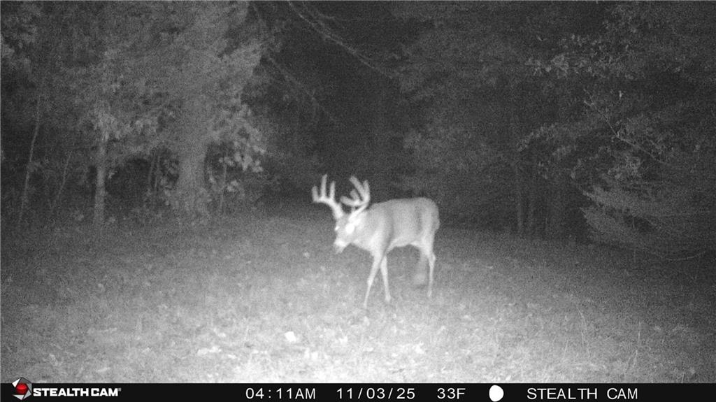 12307 Crescent Road Gilman City, MO 64642 - Photo 57 of 63