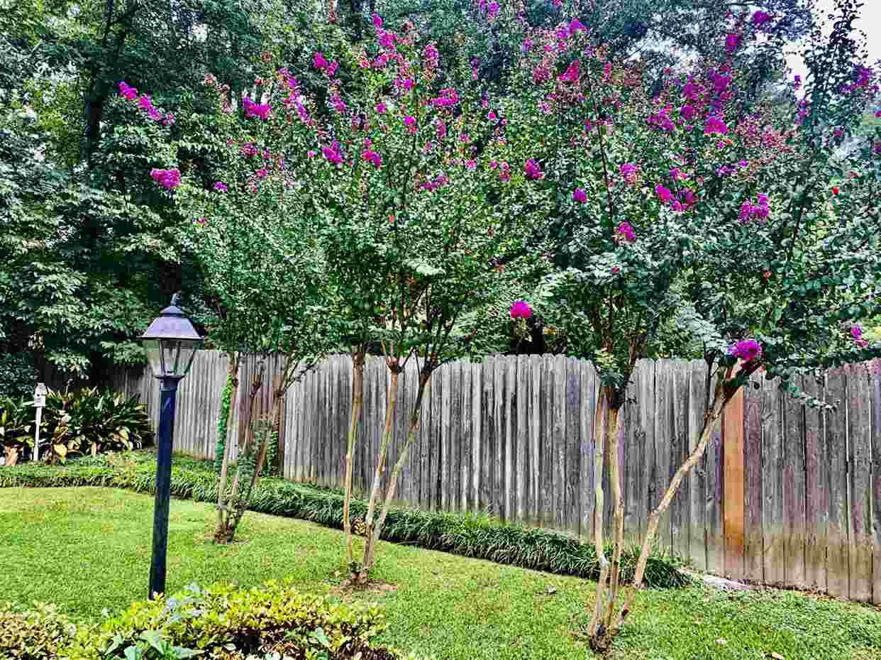 1619 Springridge Drive Jackson, MS 39211 - Photo 7 of 32 Photo 7
