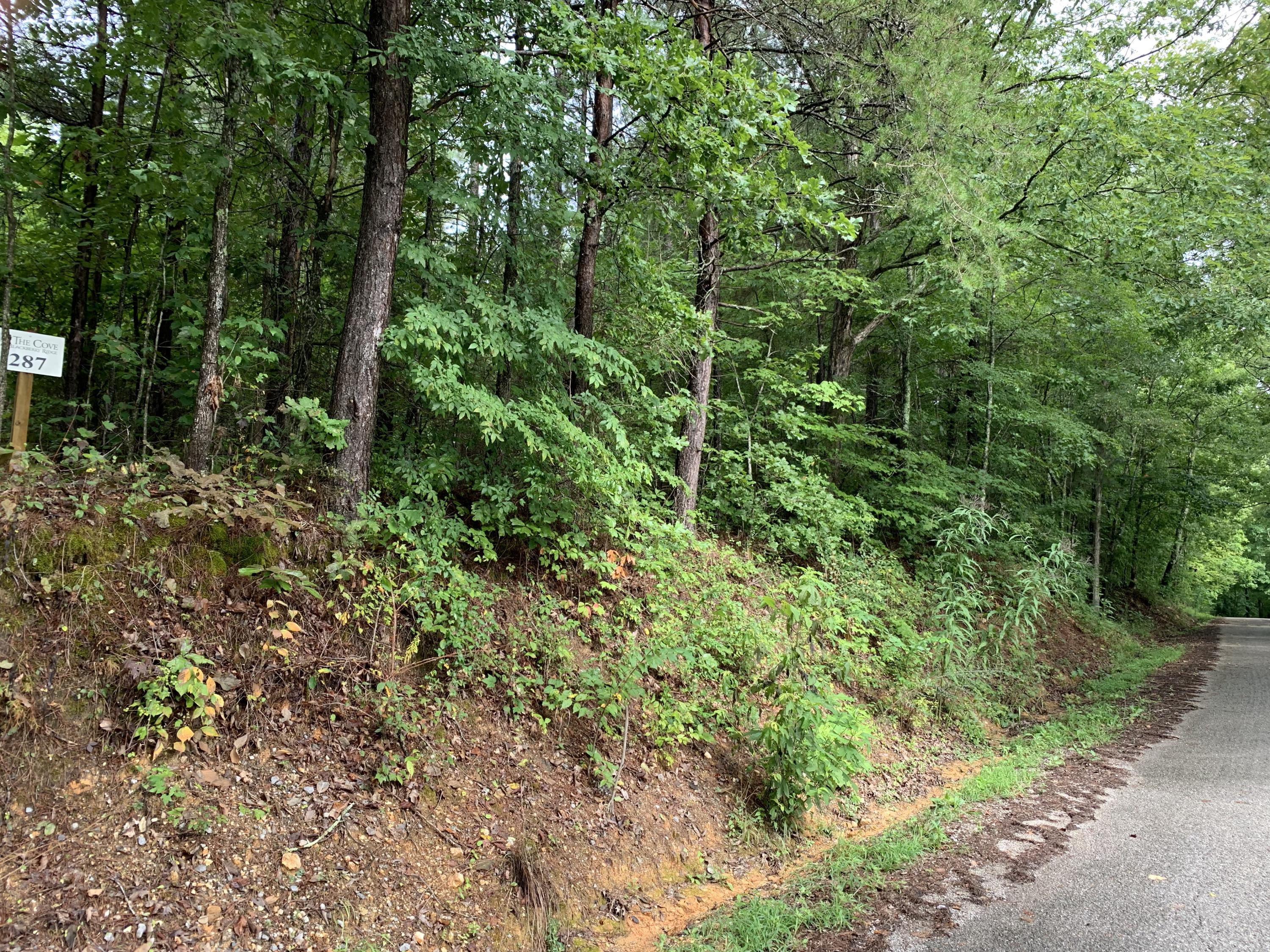 4547 Huffine Road Loudon, TN 37774 - Photo 14 of 16 Lot 287 (4)