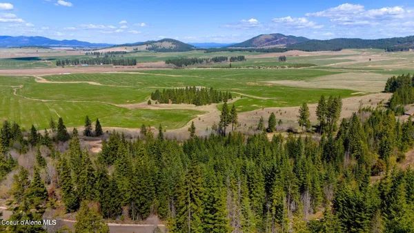 $190,000 | 11 Lone Moose Drive, Plummer, ID 83851