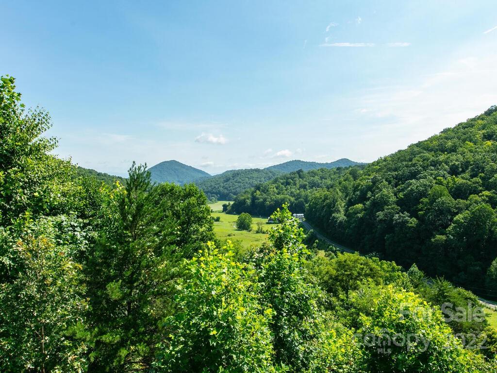 1017 South Turkey Creek Road Leicester, NC 28748 - Photo 40 of 46 Gallery Image 40