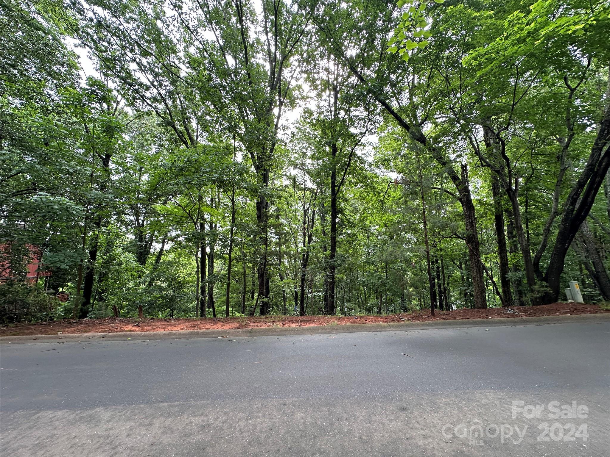 a view of a road with a trees
