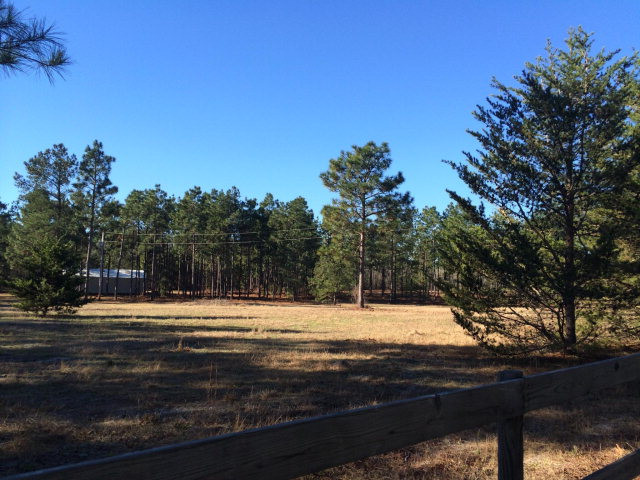 921 State Park Road Windsor, SC 29856 - Photo 1 of 1