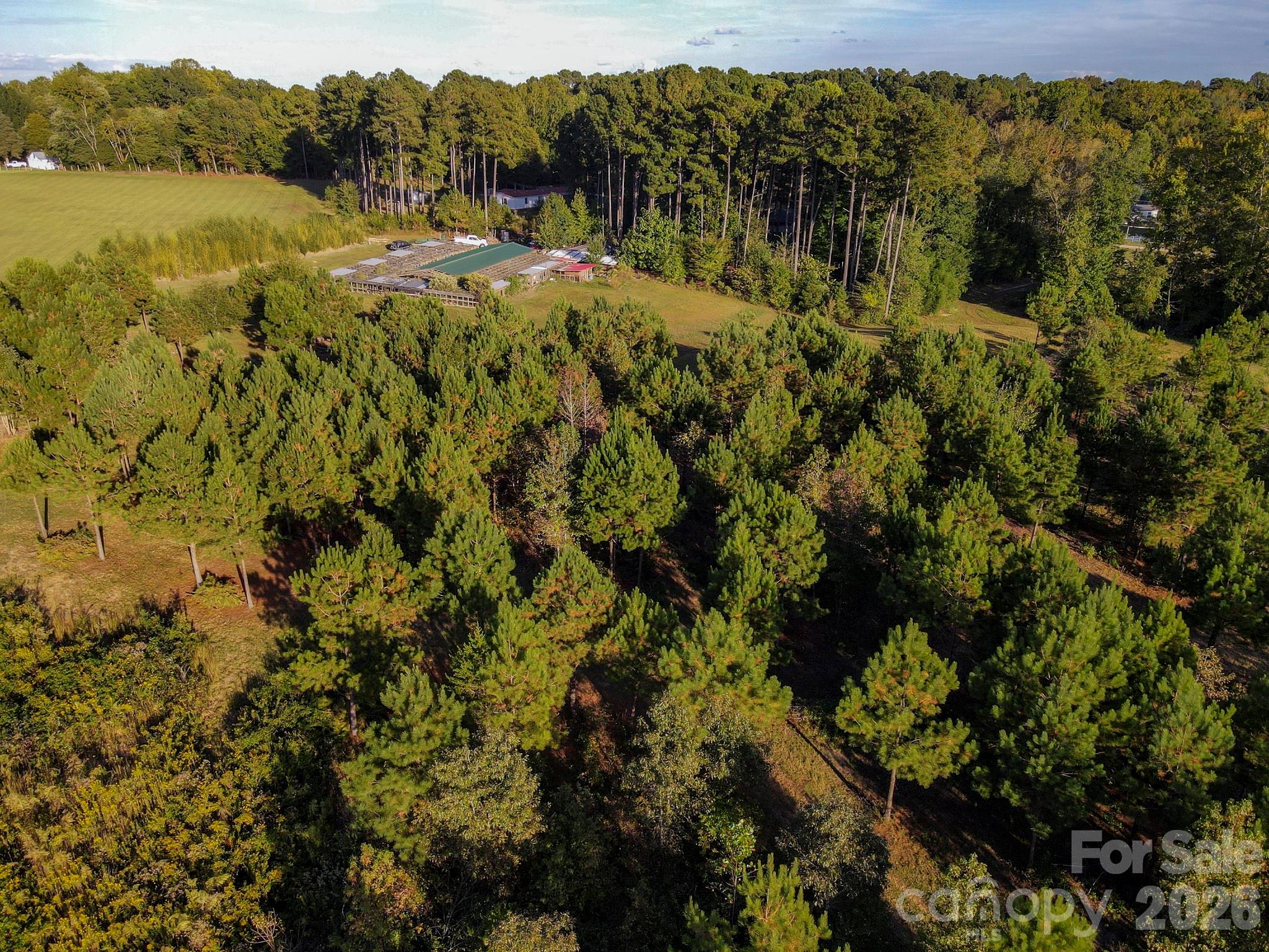 1175 McCoy Farm Road Salisbury, NC 28146 - Photo 12 of 20 Gallery Image 12