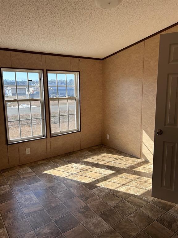329 Canvas Back Drive Princeton, LA 71067 - Photo 16 of 20 Spare room with a textured ceiling and ornamental molding
