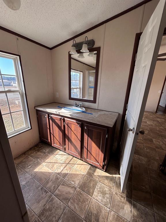 329 Canvas Back Drive Princeton, LA 71067 - Photo 20 of 20 Bathroom # 3 featuring crown molding and vanity