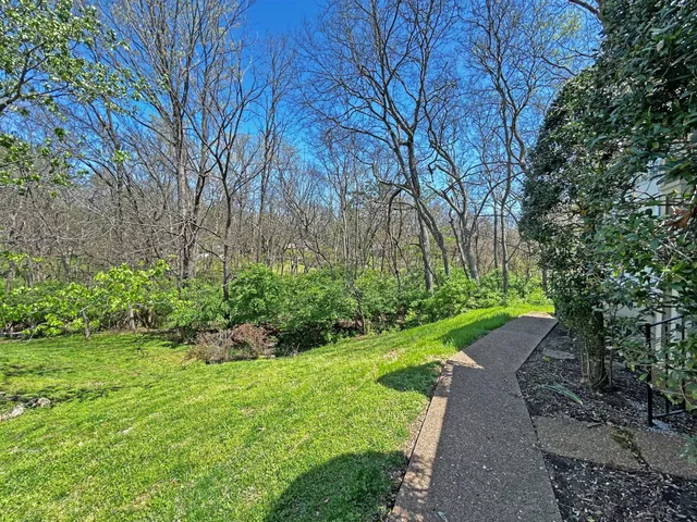 a view of a yard with plants and large trees