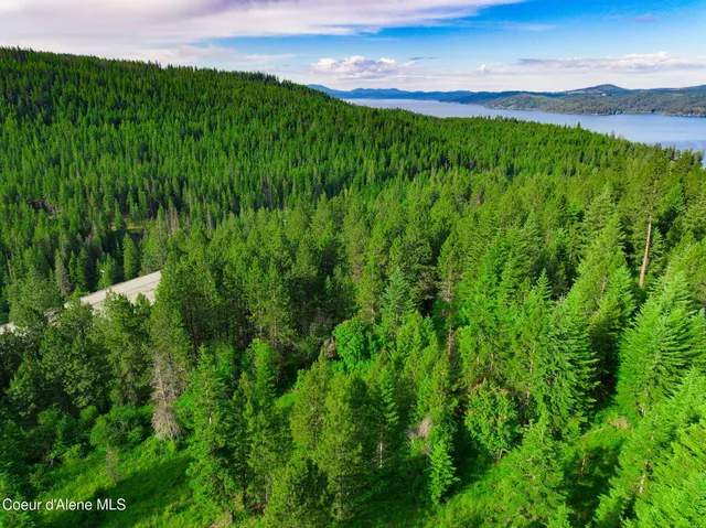 $745,000 | 1 South B S Skyview Road, Harrison, ID 83833