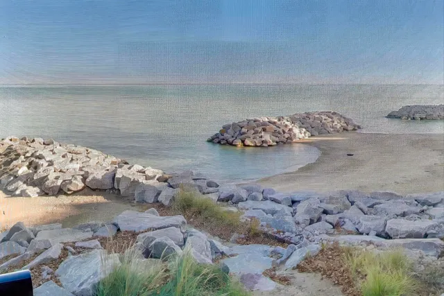 a view of a park with a large trees