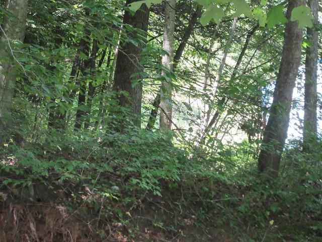 253 Claypool Road Meadow Bridge, WV 25976 - Photo 13 of 15 Gallery Image 13