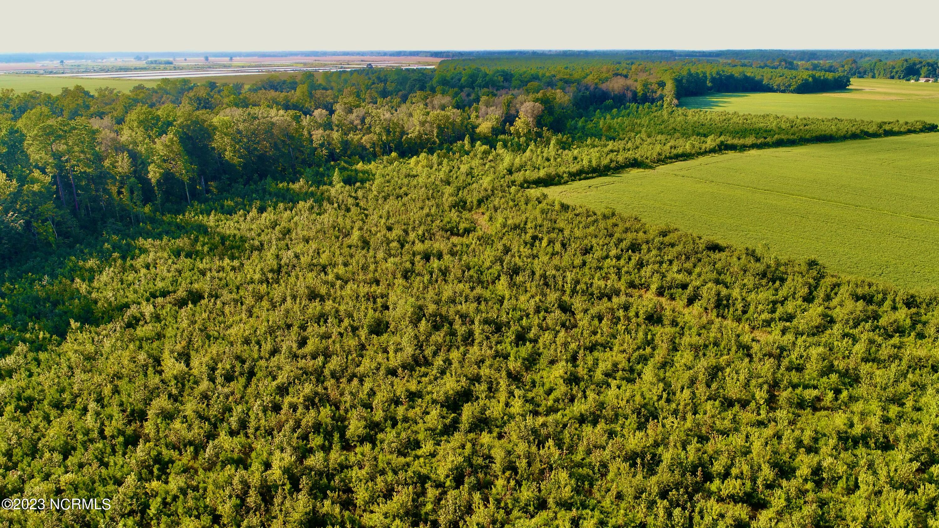 2334 West Millpond Road Roper, NC 27970 - Photo 45 of 52 DJI_0745