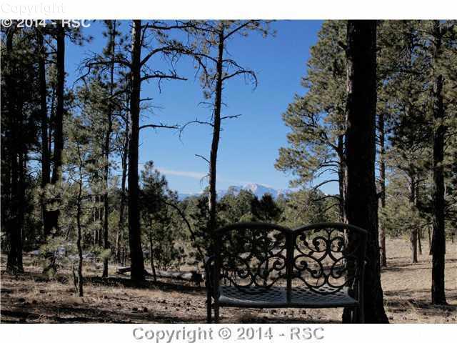10975 Huntsman Road Colorado Springs, CO 80908 - Photo 25 of 25