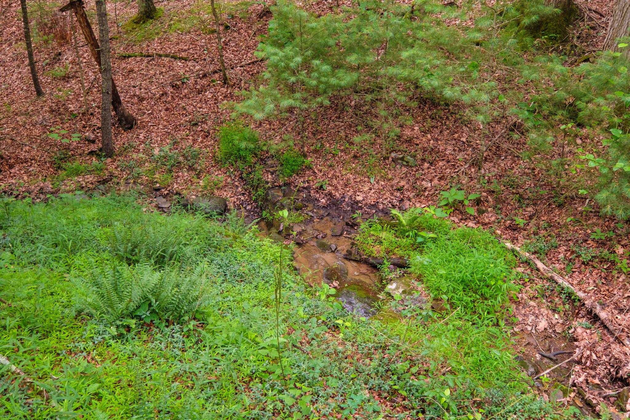 Tbd Criders Road Bergton, VA 22811 - Photo 9 of 22