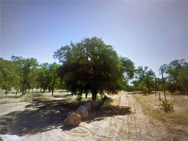 a view of a yard with a tree