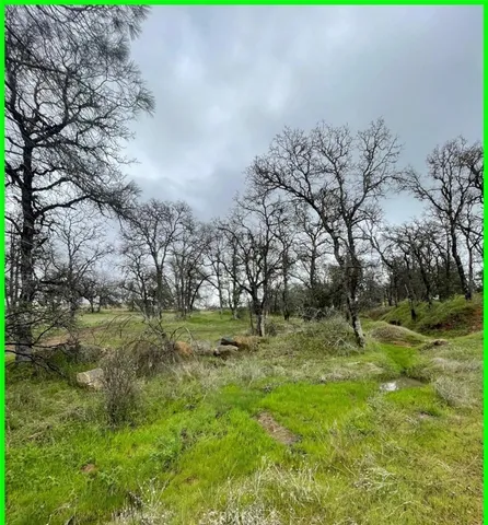 a view of outdoor space with trees all around