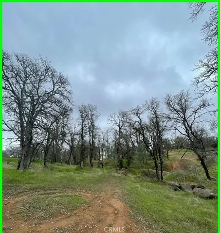 a view of outdoor space with trees