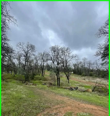 a view of backyard with green space