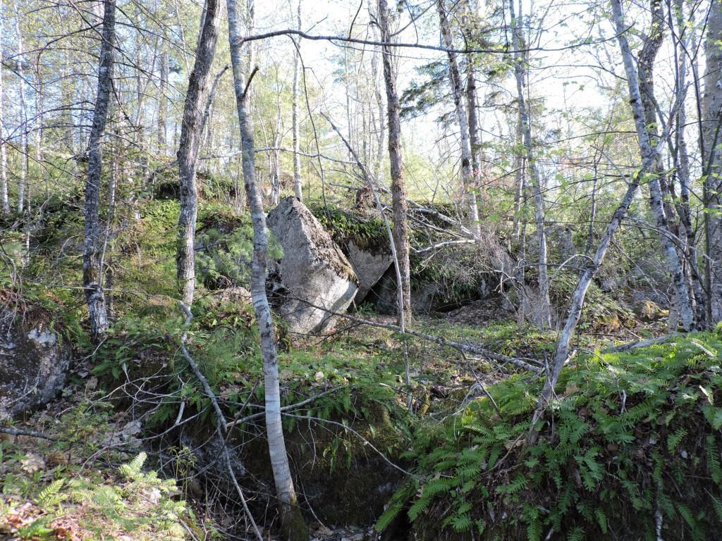 Lot #5 Short Point Way Orland, ME 04472 - Photo 9 of 11 Photo