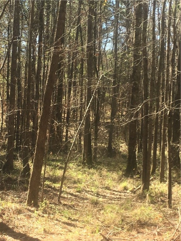 11 Island Creek Road Seale, AL 36875 - Photo 1 of 11 Gallery Image 1