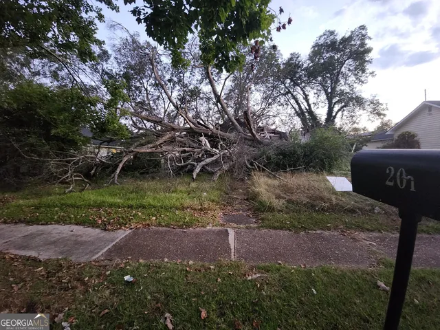 a view of a yard with plants and large trees