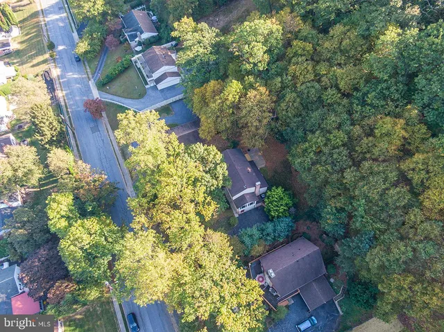 a picture of flowers