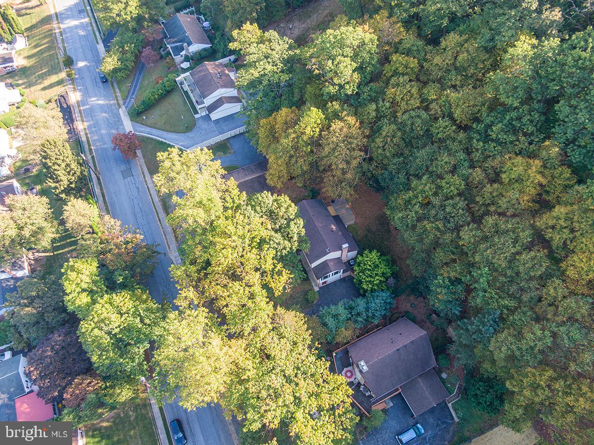 310 4th Street Reading, PA 19607 - Photo 39 of 44 a picture of flowers