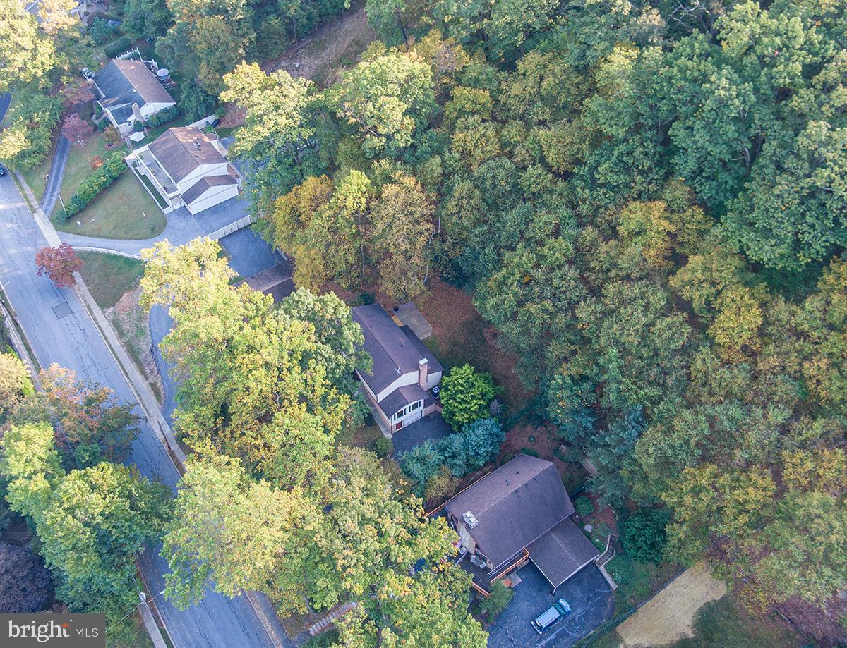 310 4th Street Reading, PA 19607 - Photo 41 of 44 a view of flower garden in front of house