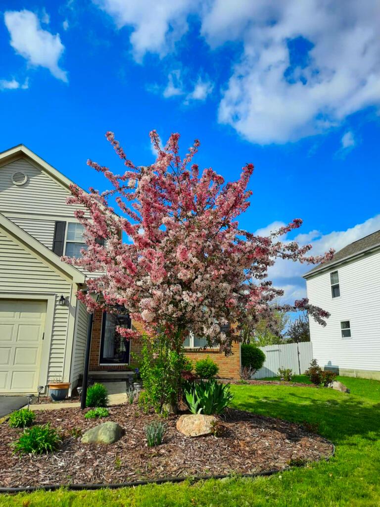 1372 Tera Alta Road Columbus, OH 43207 - Photo 3 of 40 02