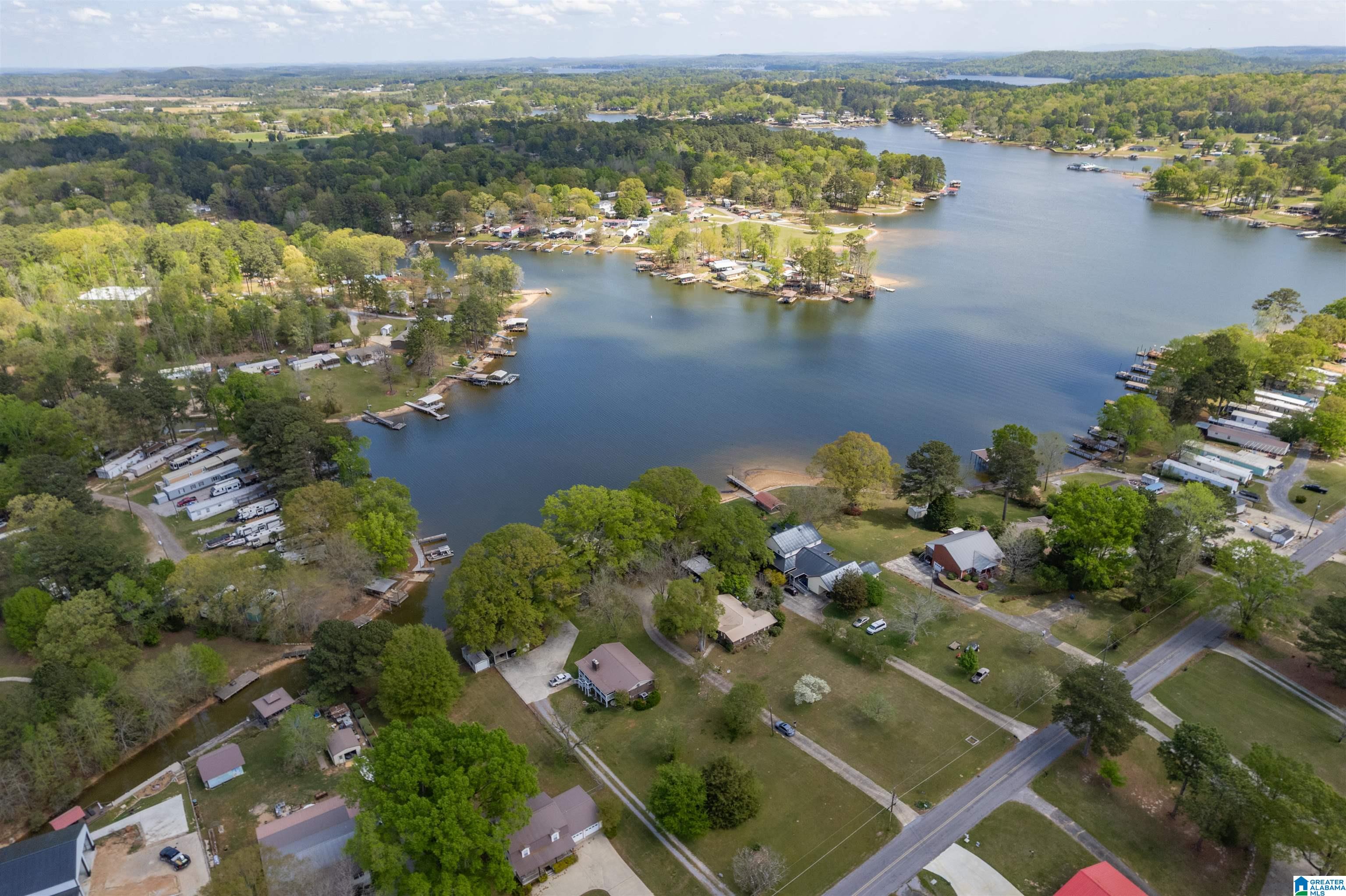 509 Coosa Island Road Cropwell, AL 35054 - Photo 46 of 52