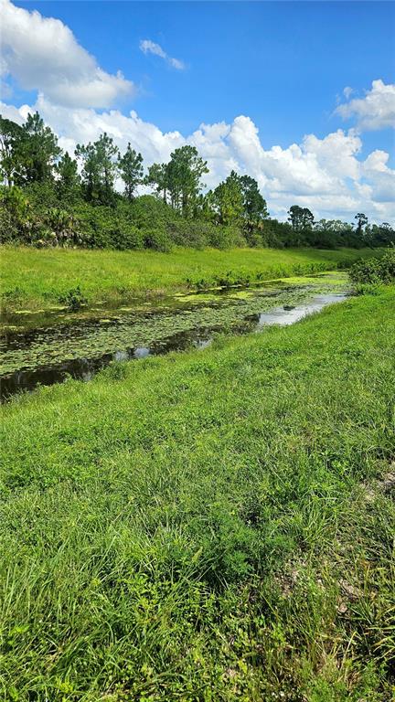 Custer, Unit 25 North Port, FL 34288 - Photo 3 of 7 a view of a grassy field with trees
