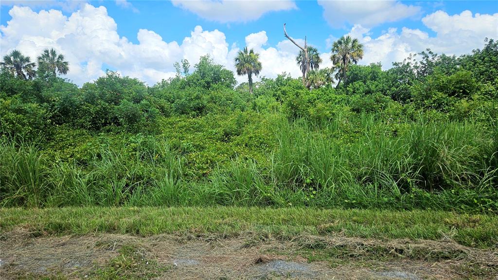 Custer, Unit 25 North Port, FL 34288 - Photo 6 of 7 a view of a lush green forest