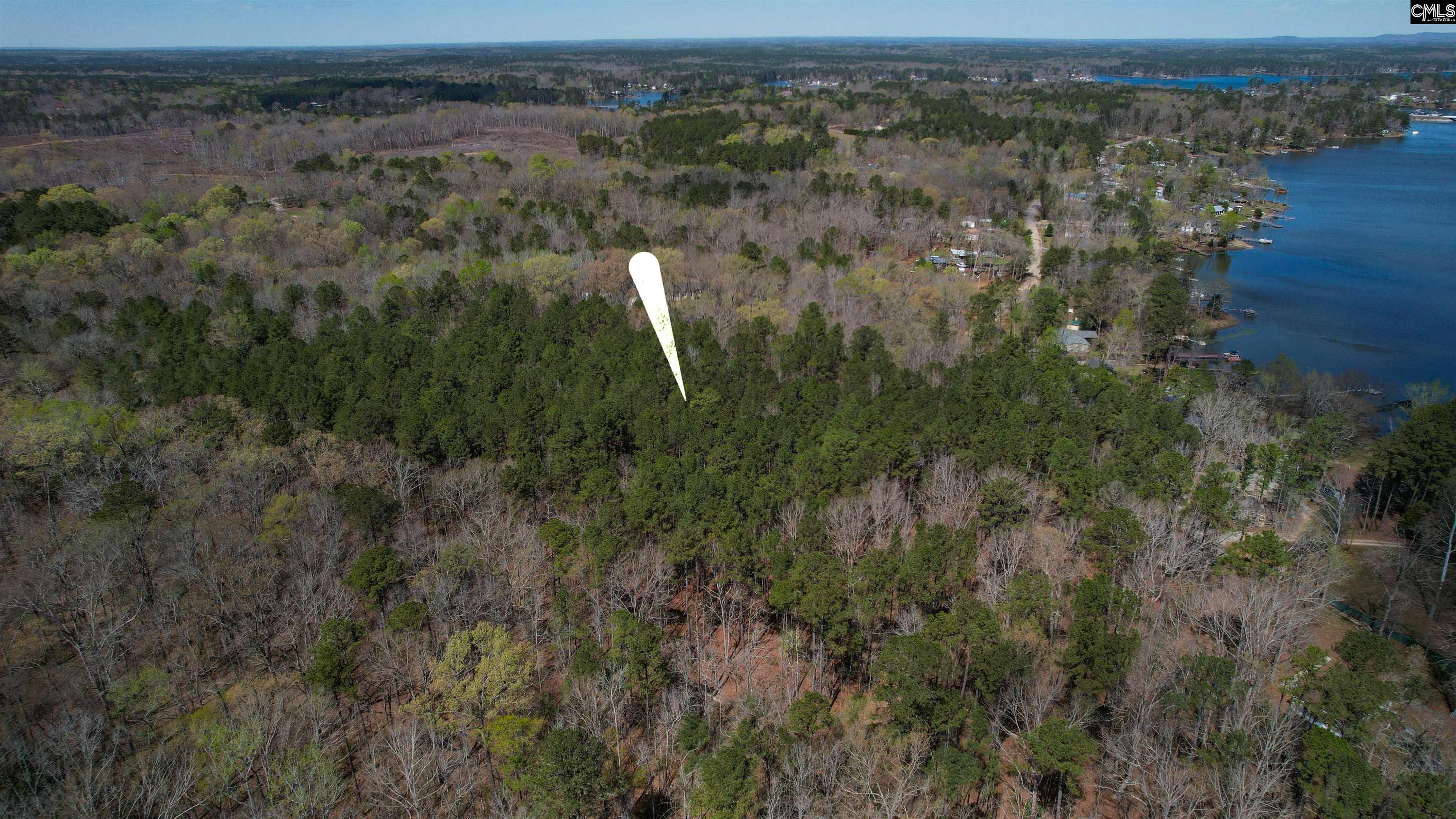 650 Horse Creek Road Leesville, SC 29070 - Photo 7 of 10
