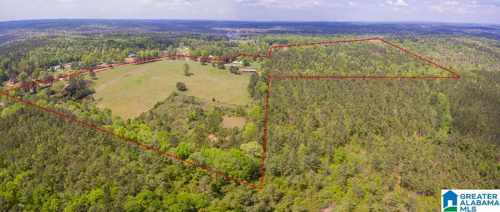 1210 County Road 61 Clanton, AL 35046 - Photo 49 of 50