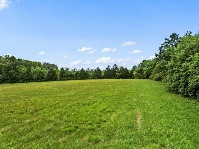 a view of a green field with clear sky
