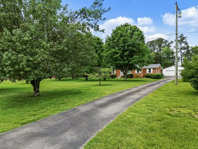 a view of a park with tree s
