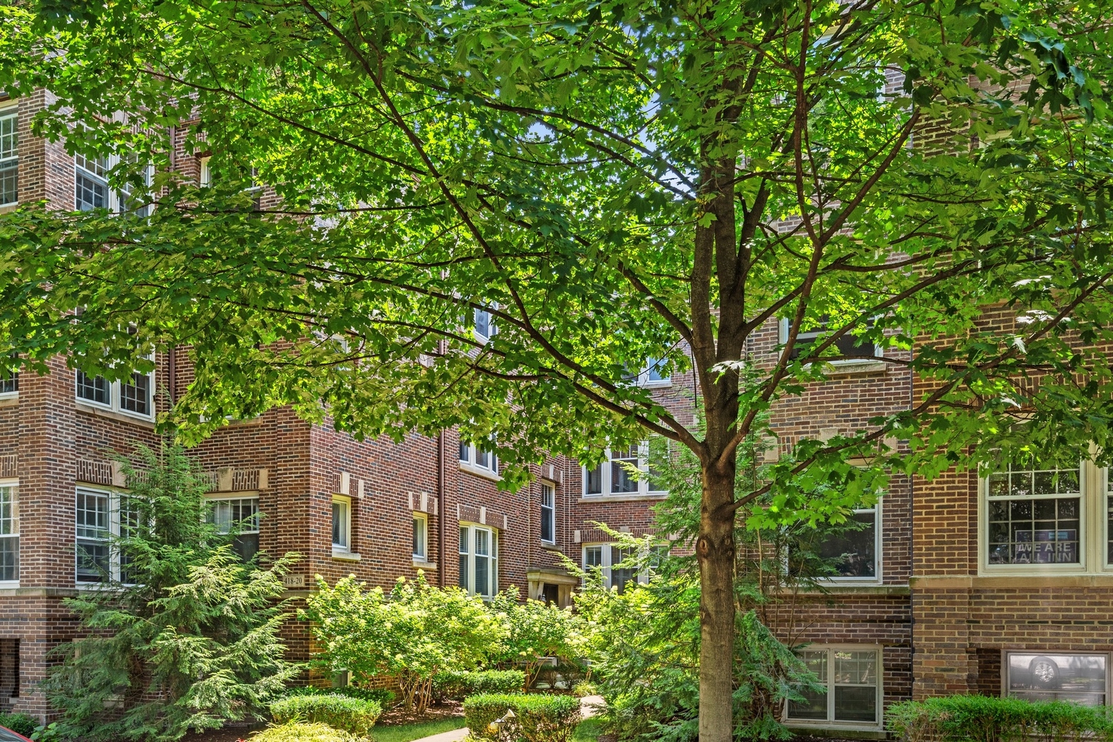 422 Hamilton Street, Unit 1 Evanston, IL 60202 - Photo 2 of 23 front view of a house with a tree