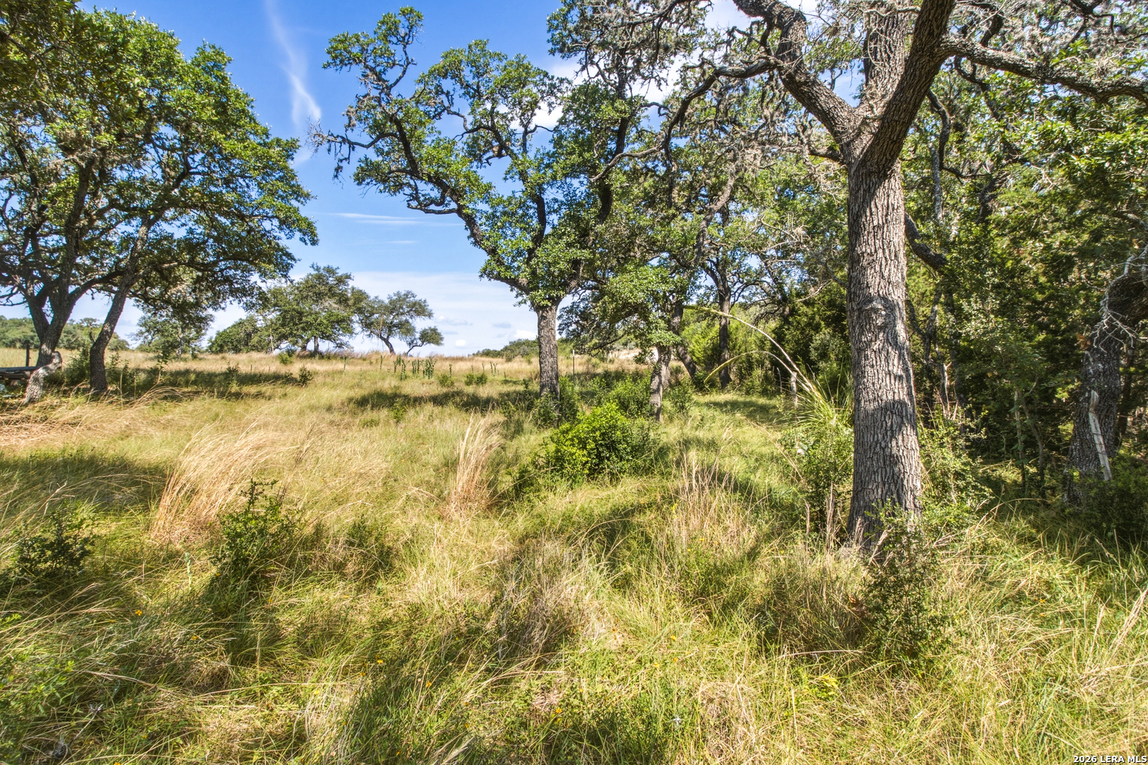 1256 Benton Creek Road Medina, TX 78055 - Photo 33 of 38