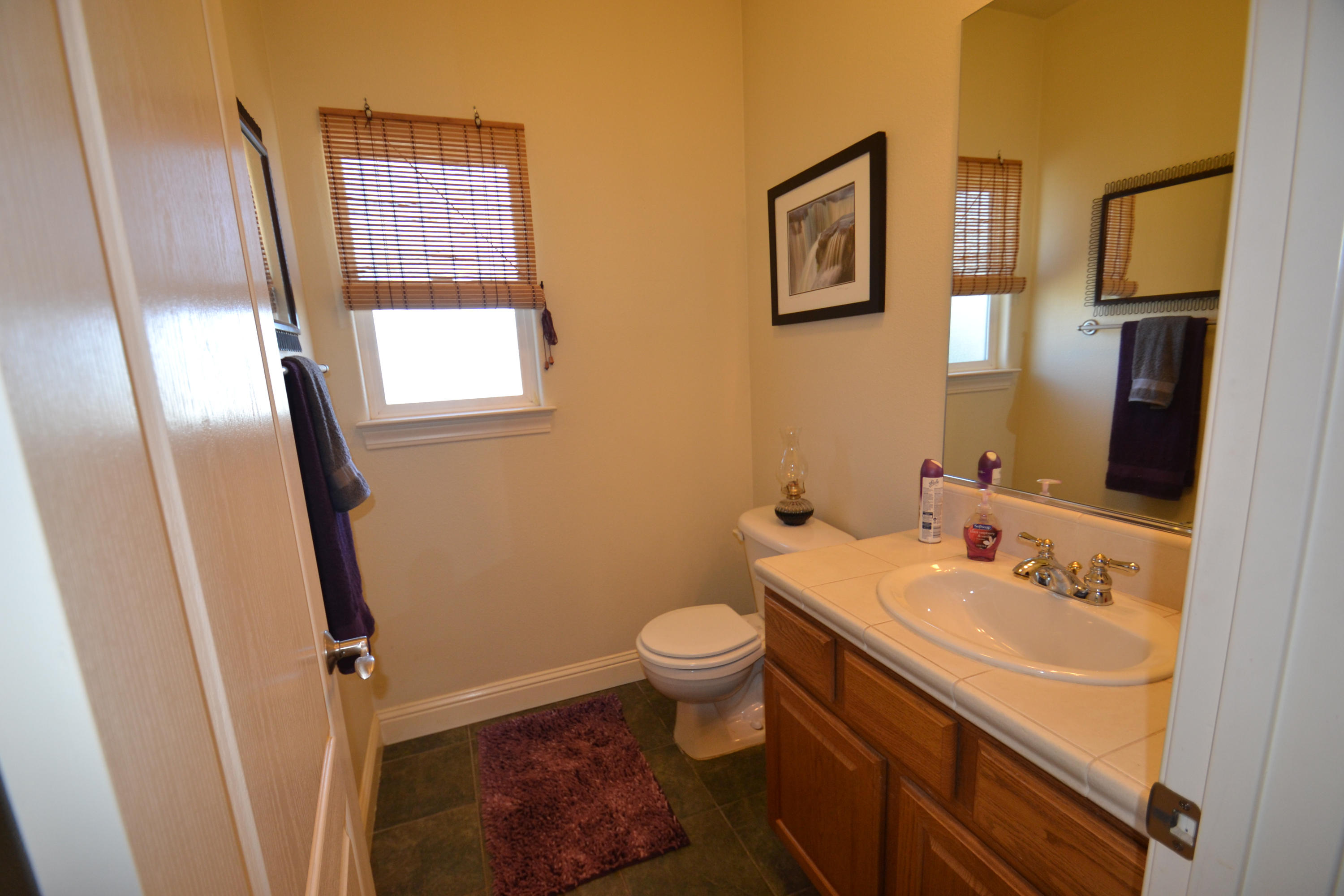 6770 Amber Ridge Drive Anderson, CA 96007 - Photo 12 of 26 Bathroom next to Garage
