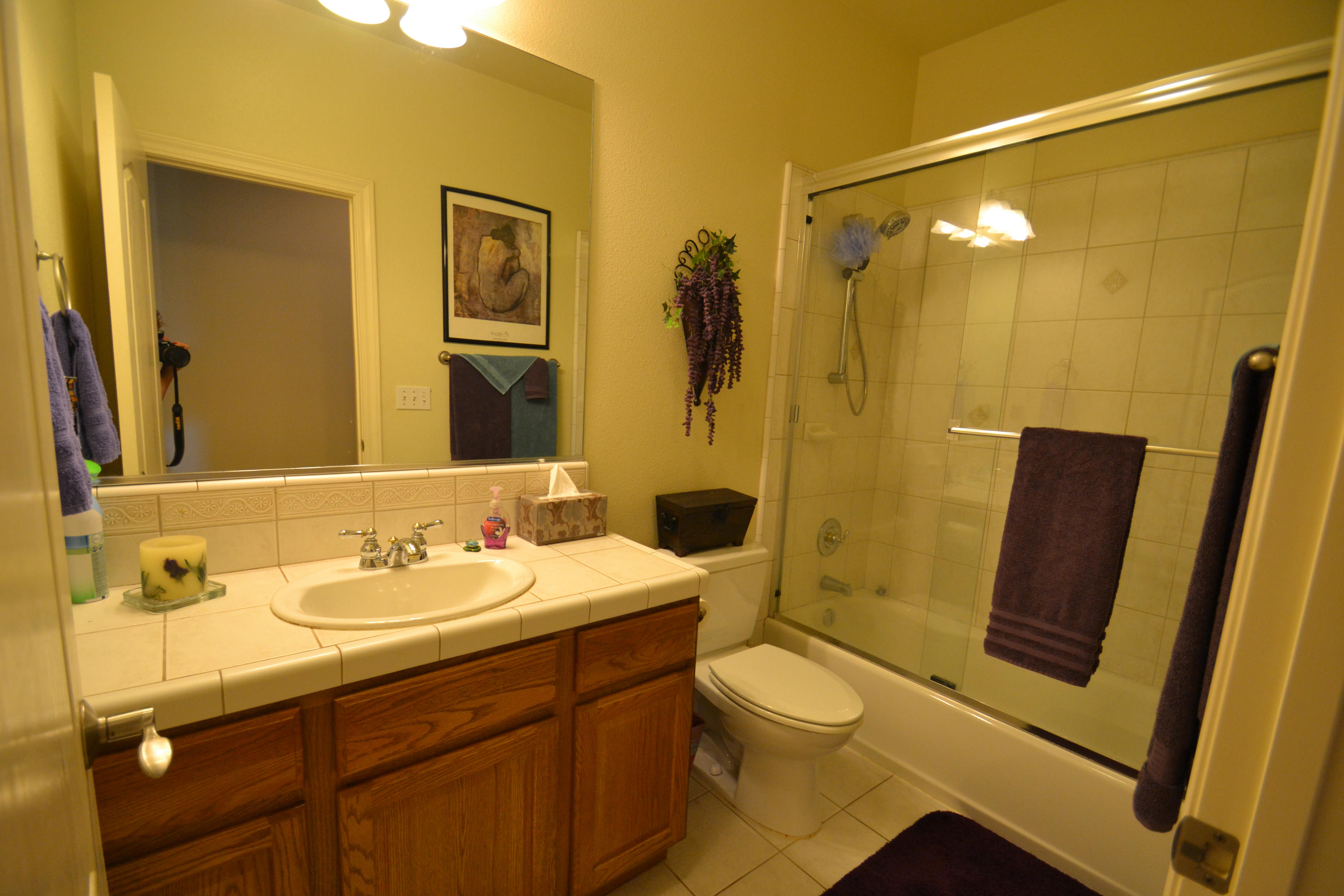 6770 Amber Ridge Drive Anderson, CA 96007 - Photo 13 of 26 Guest Bathroom