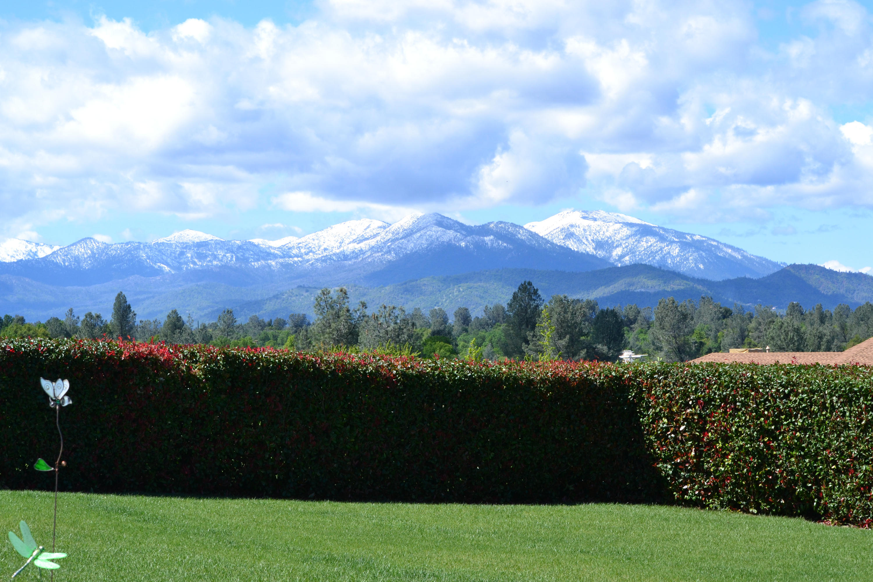 6770 Amber Ridge Drive Anderson, CA 96007 - Photo 2 of 26 Panoramic Views!!!